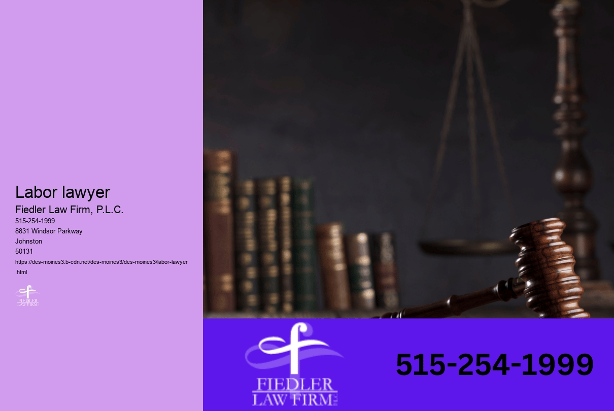 Labor lawyer